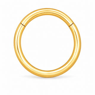 Continuum Hoop Ring