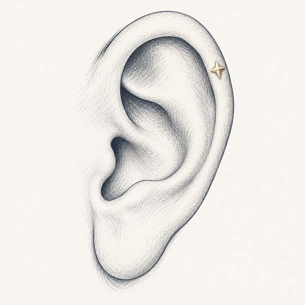 Anatomical pencil sketch showing a stud in the upper outer ear cartilage