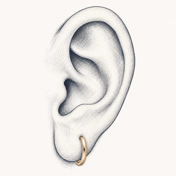 Anatomical pencil sketch showing a hoop worn through the earlobe